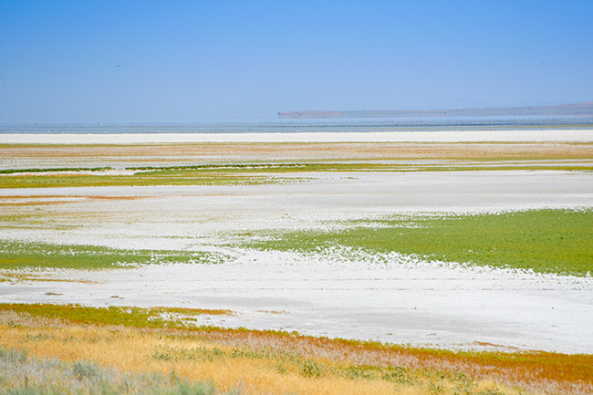 National Parks, National Monuments, and State Parks