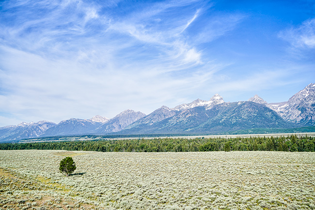 National Parks, National Monuments, and State Parks