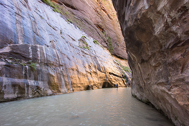 The Narrows, Zion National Park, Utah