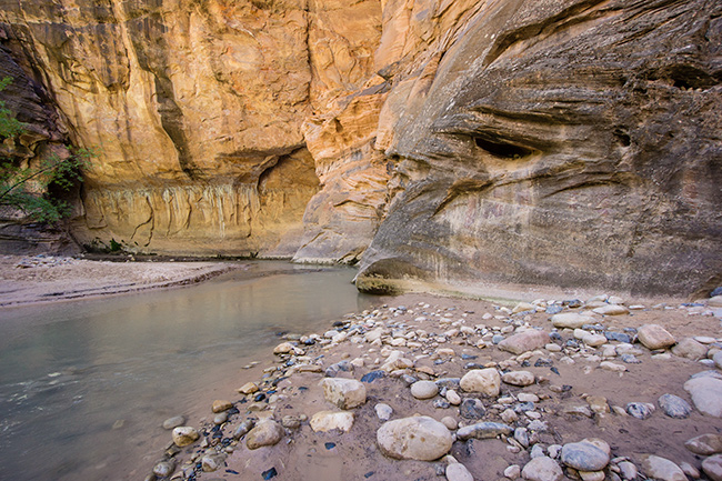 The Narrows, Zion National Park, Utah