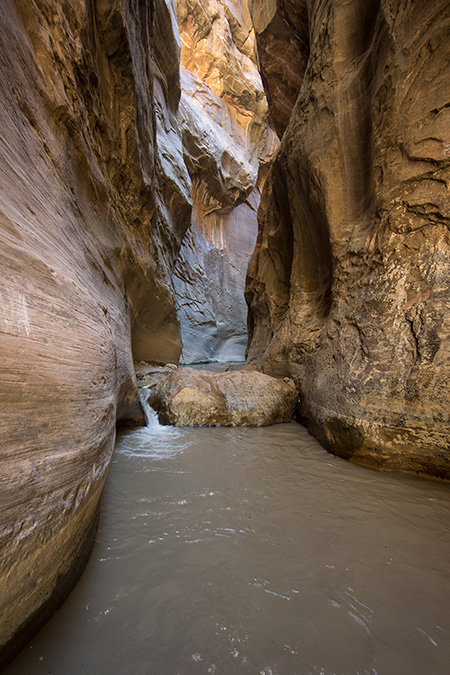 The Narrows, Zion National Park, Utah