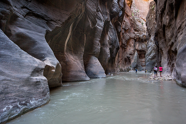 The Narrows, Zion National Park, Utah