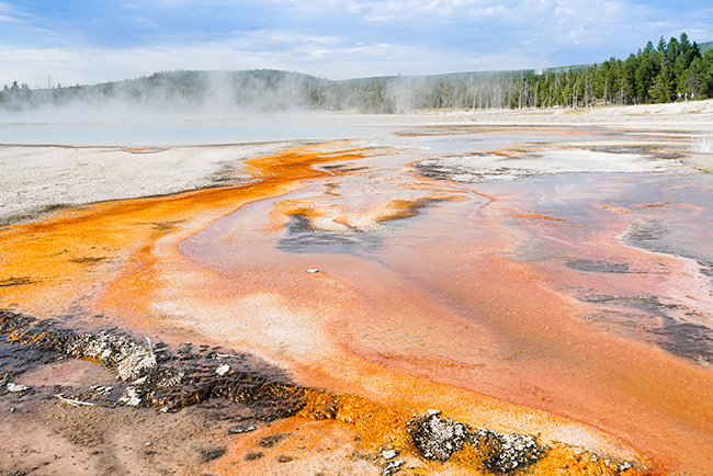 National Parks, National Monuments, and State Parks