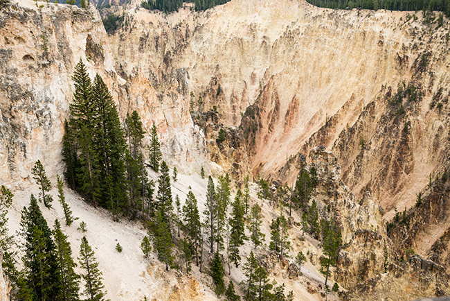 National Parks, National Monuments, and State Parks