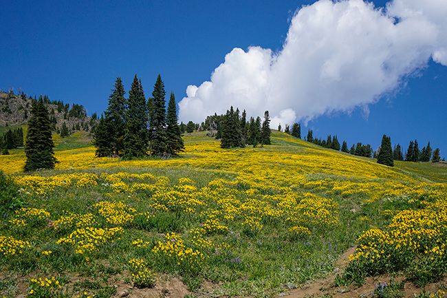 National Parks, National Monuments, and State Parks