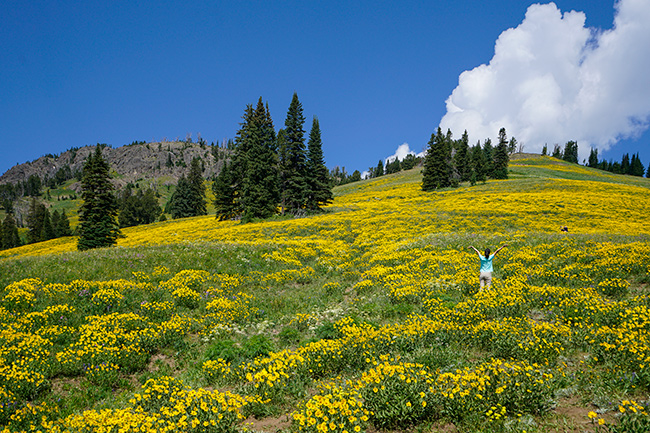 National Parks, National Monuments, and State Parks