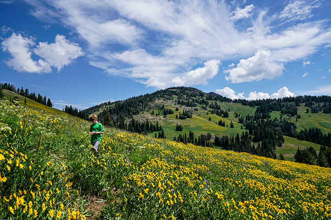 National Parks, National Monuments, and State Parks