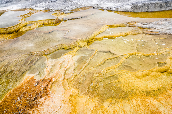 National Parks, National Monuments, and State Parks