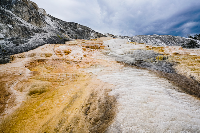 National Parks, National Monuments, and State Parks