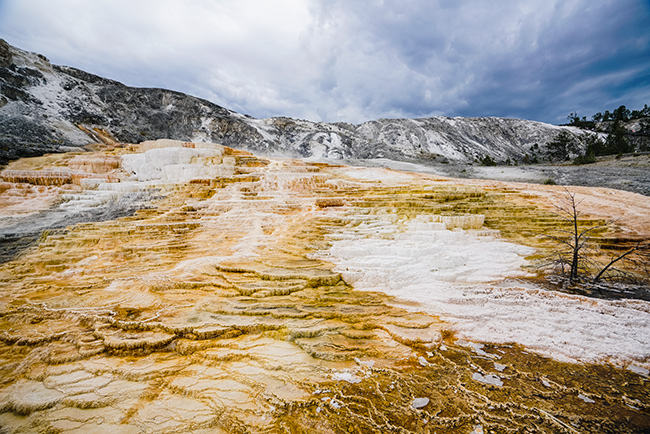 National Parks, National Monuments, and State Parks