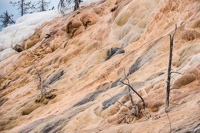 National Parks, National Monuments, and State Parks