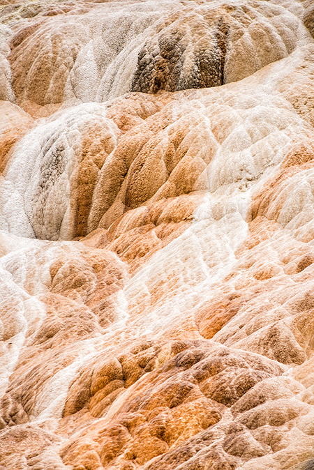National Parks, National Monuments, and State Parks