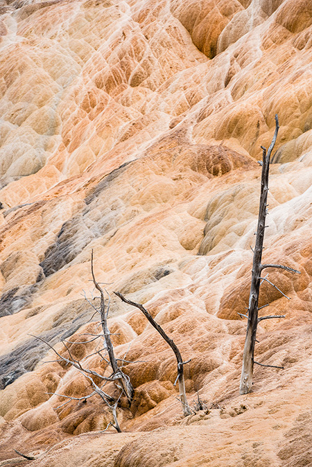 National Parks, National Monuments, and State Parks