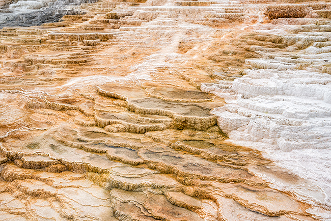 National Parks, National Monuments, and State Parks