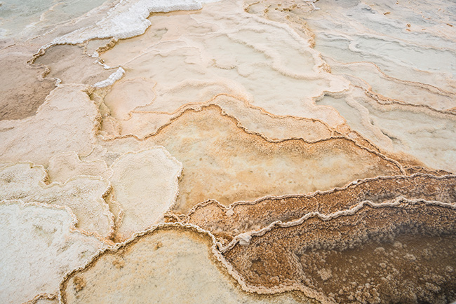 National Parks, National Monuments, and State Parks