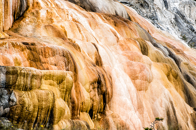 National Parks, National Monuments, and State Parks
